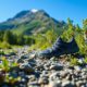 Xero Shoes for Your Ultimate Summer Adventure Guide