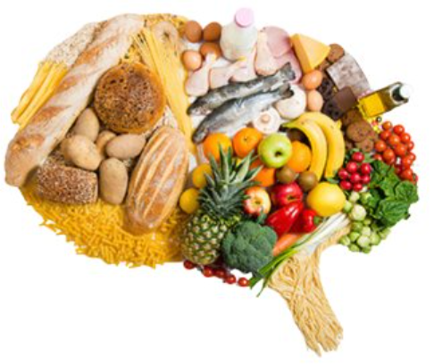 Foods for Brain Health: Top Choices Against Cognitive Decline