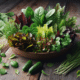Summer Salad: Your Vibrant Guide to Freshness This Season
