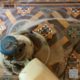 Victorian Hallway Tiles Cleaning: Essential Tips for Care