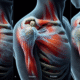 Acupuncture Techniques for Relieving Frozen Shoulder