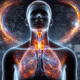 Thyroid Blood Test: Essential Guide for Grimsby Residents
