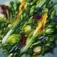 Fresh and Tasty Salad Recipes for Your Meals