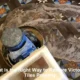 Victorian Tiles Restoration Techniques: A Handy Guide