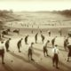 Germiston Golf Club: A Must-Visit for Golf Enthusiasts