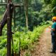 Zip Lining Adventures in Belize’s Stunning Canopy Tours