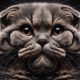 Scottish Fold Ear Maintenance: Essential Tips for Care