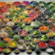 Plant-Based Diets for Pets: The Ultimate Guide