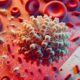 Ferritin Blood Test Insights for High Wycombe Locals
