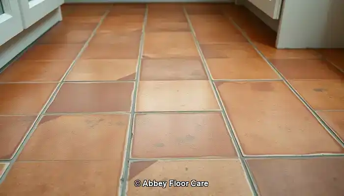 Understanding the Causes of Rapid Dirt Build-Up on Terracotta Floors