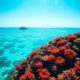 Belize Travel Guide: Key Information for Visitors